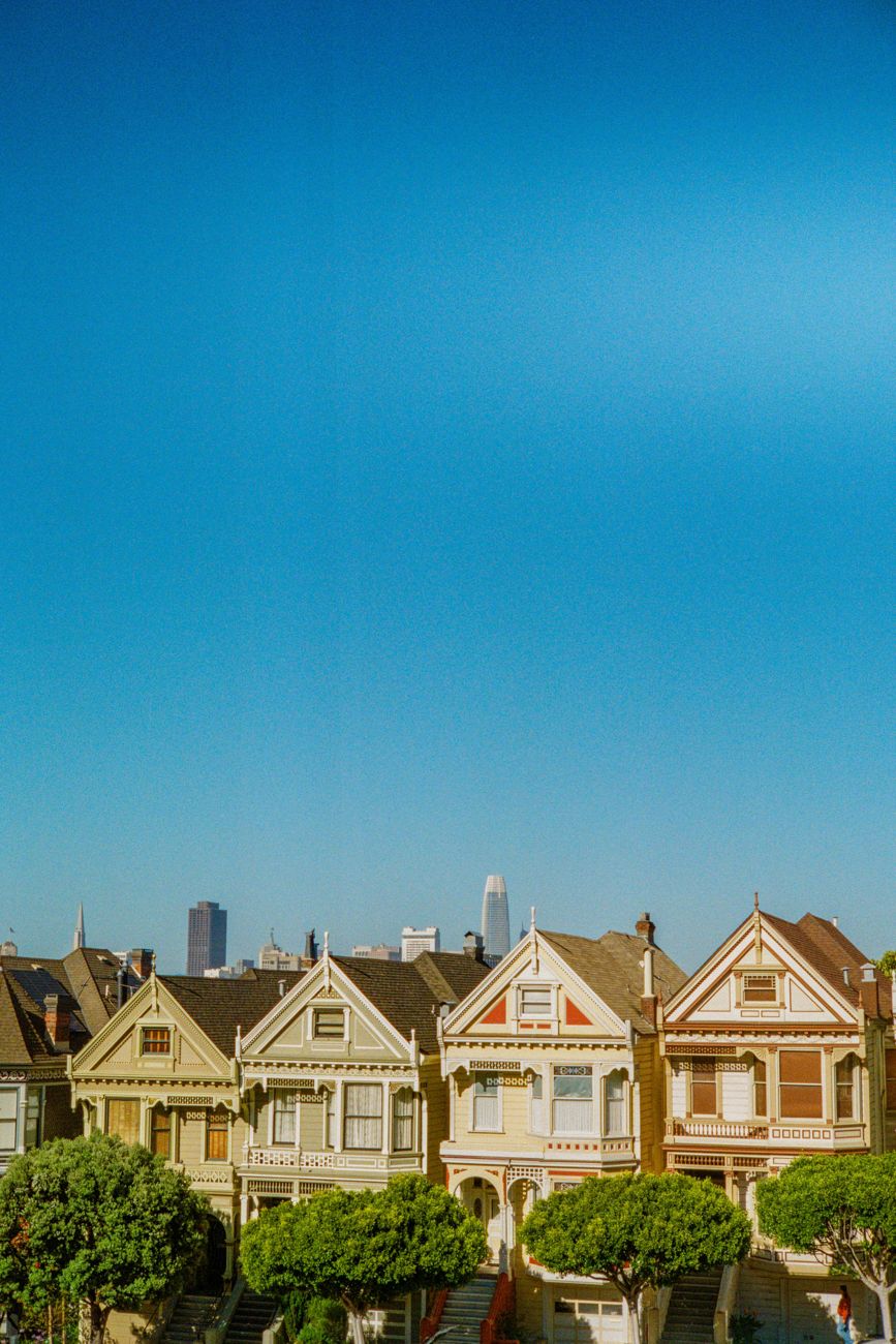 Painted Ladies and relaxing